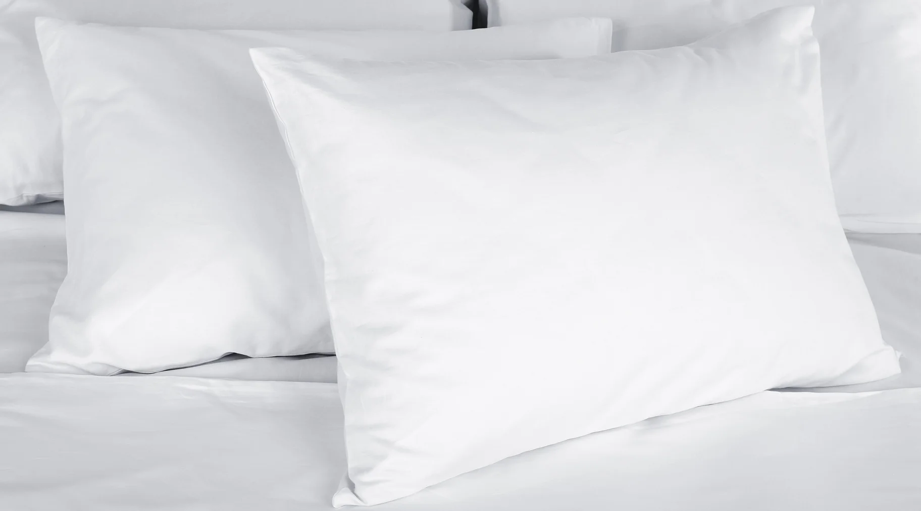 Protège oreiller jetable Standard Textile